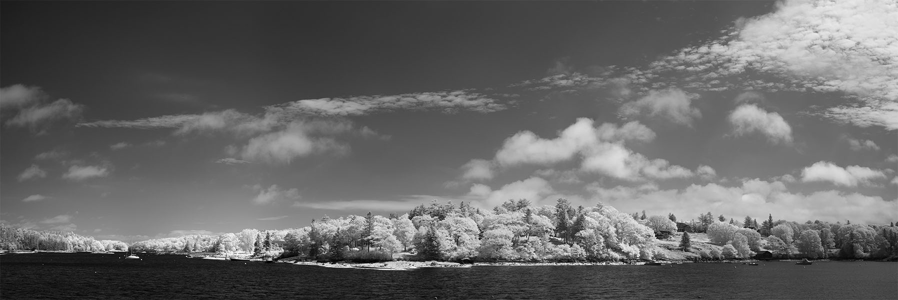 Summer Infrared Photo of Riverscape near Boothbay, Maine.